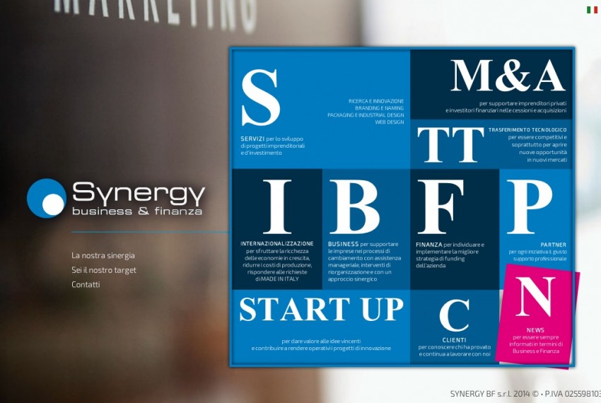 Radici Design - Synergy BF - Sito web 2014